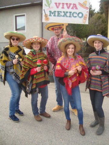 Faschingsumzug 2019 (Fotos Adolf Müller)